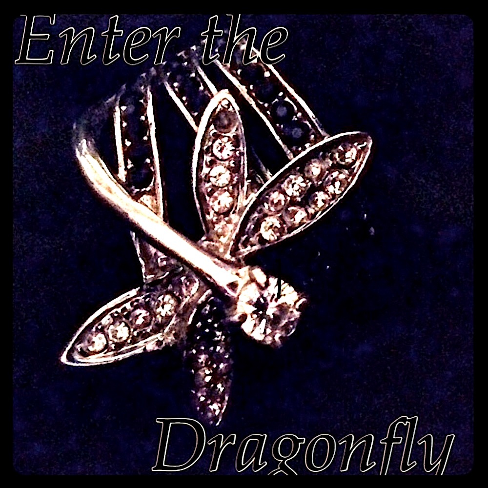 ENTER THE DRAGONFLY RING!